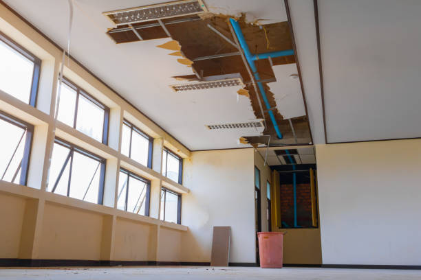 Best Mold removal after water damage  in Madison, WI