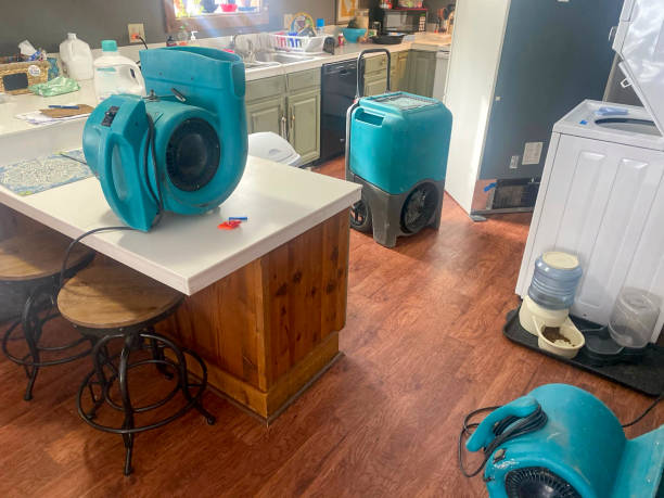 Best Carpet water damage restoration  in Madison, WI