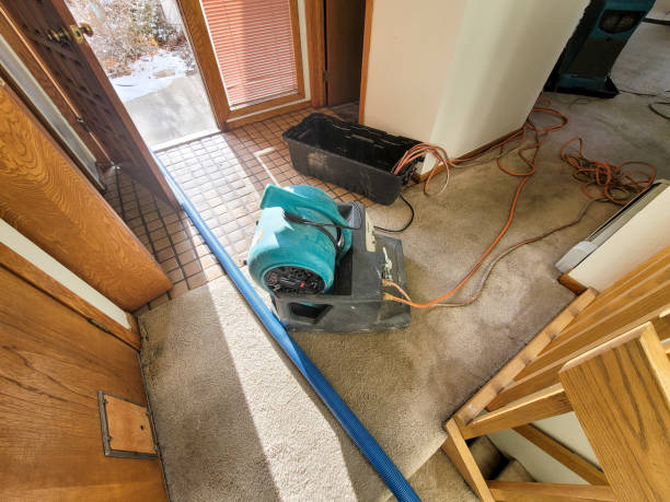 Best Commercial water damage restoration  in Madison, WI