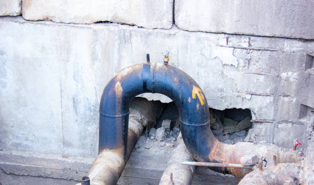 Best Basement water damage restoration  in Madison, WI