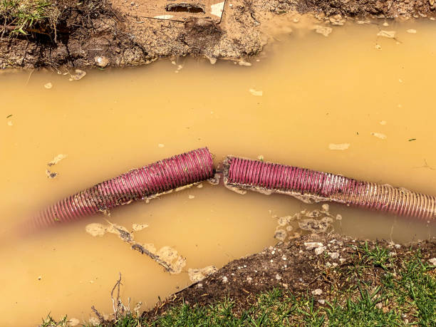 Best Commercial water damage restoration  in Madison, WI
