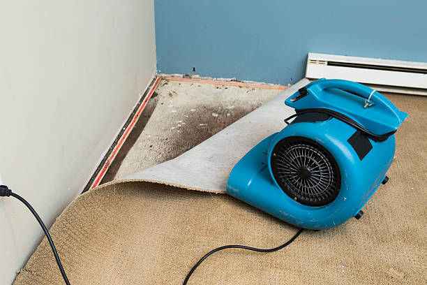 Best 24/7 water damage repair  in Madison, WI